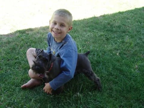 Miniature Schnauzers Our Proud Schnauzer Moms Pages!
